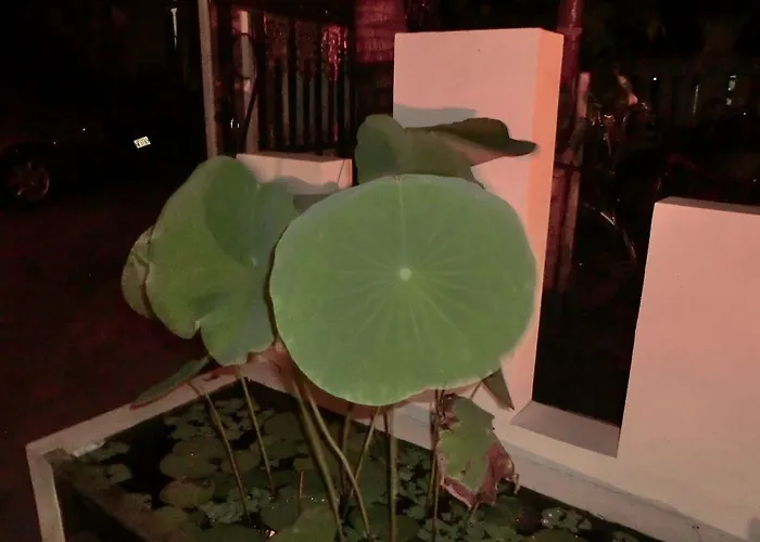 ホテル Eocambo